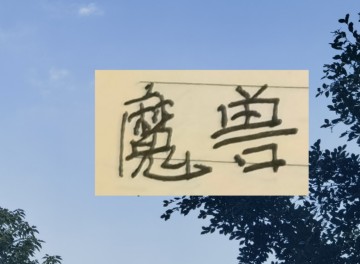 世界杯直播app下载入口-比马莱莱高 吨位更加重 申花新魔兽第一赛季能进15球+吗